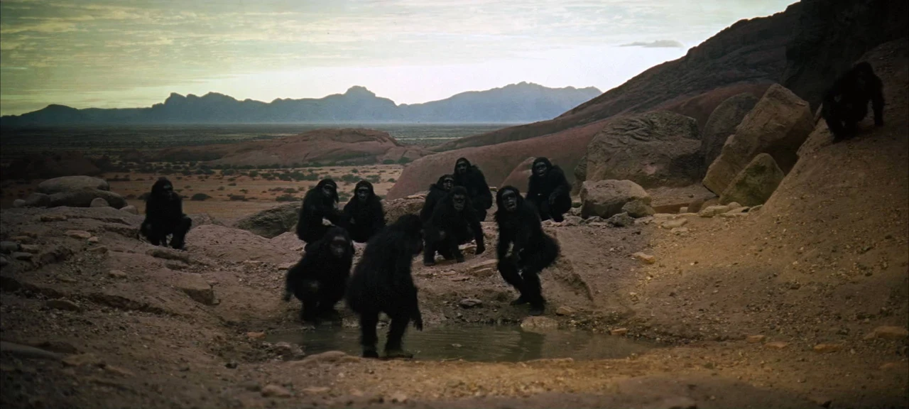 Tư liệu hình — 2001: A Space Odyssey — 2001-space-odyssey-shot-03