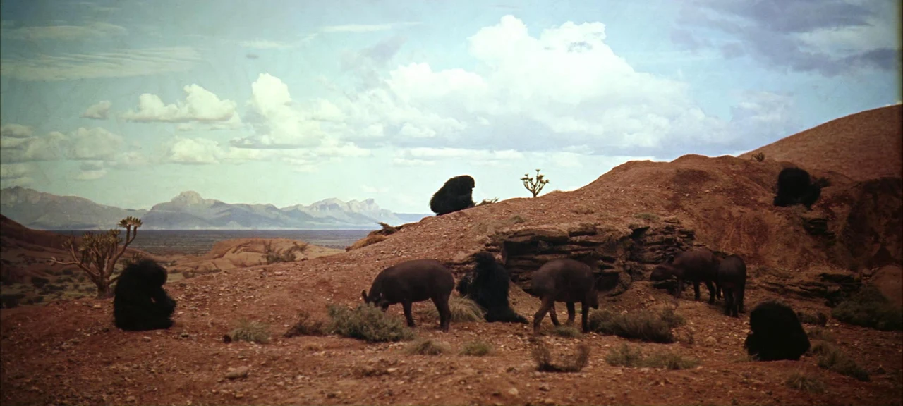 Tư liệu hình — 2001: A Space Odyssey — 2001-space-odyssey-shot-06