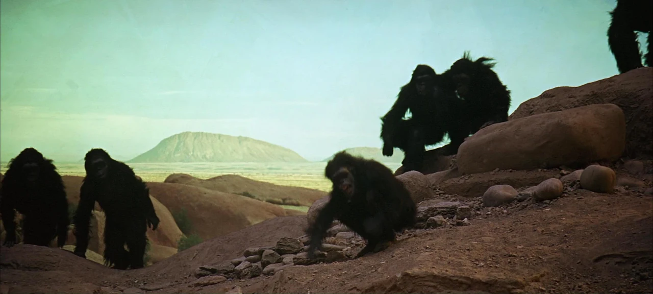 Tư liệu hình — 2001: A Space Odyssey — 2001-space-odyssey-shot-05