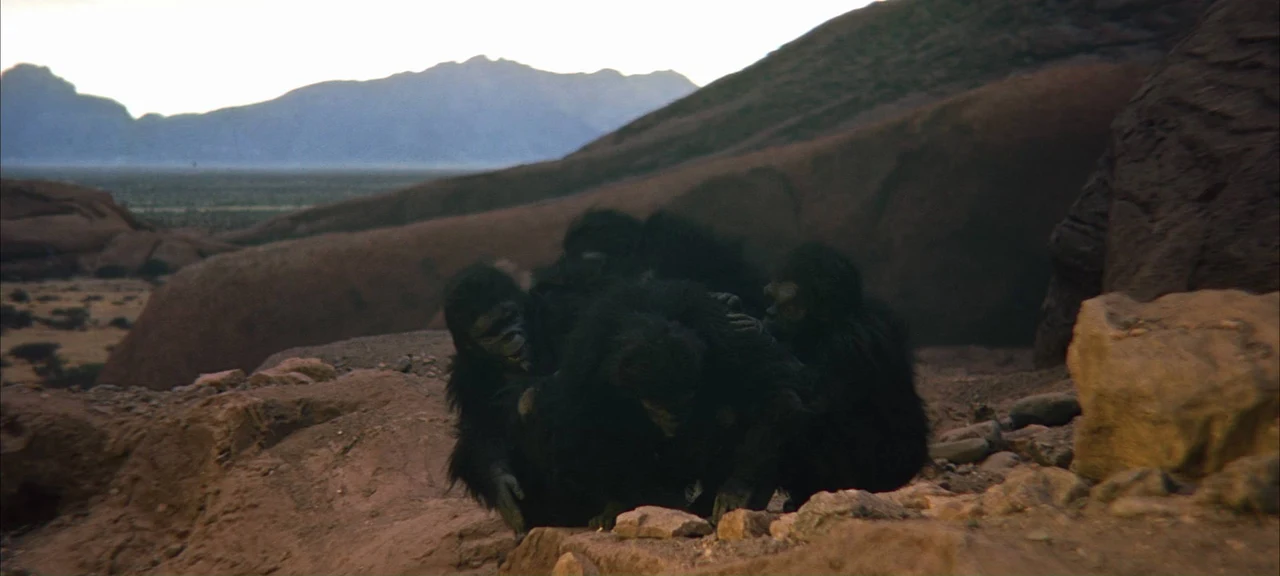 Tư liệu hình — 2001: A Space Odyssey — 2001-space-odyssey-shot-08