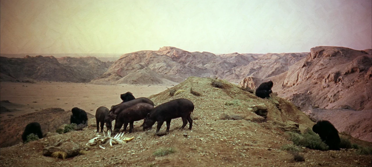 Tư liệu hình — 2001: A Space Odyssey — 2001-space-odyssey-shot-07