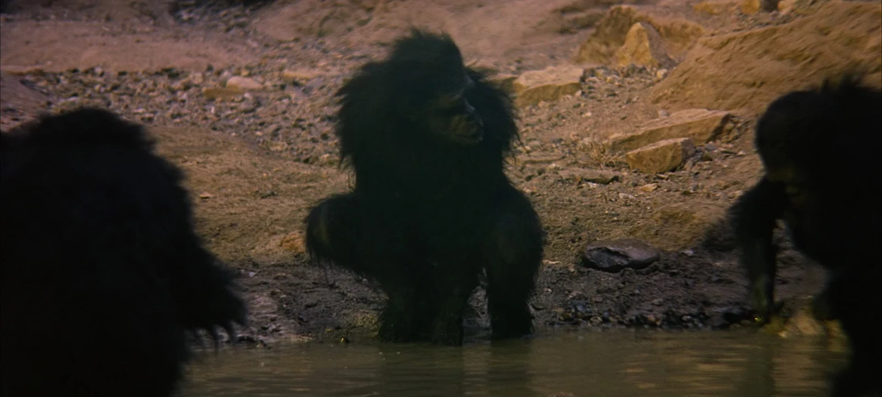 Tư liệu hình — 2001: A Space Odyssey — 2001-space-odyssey-shot-09