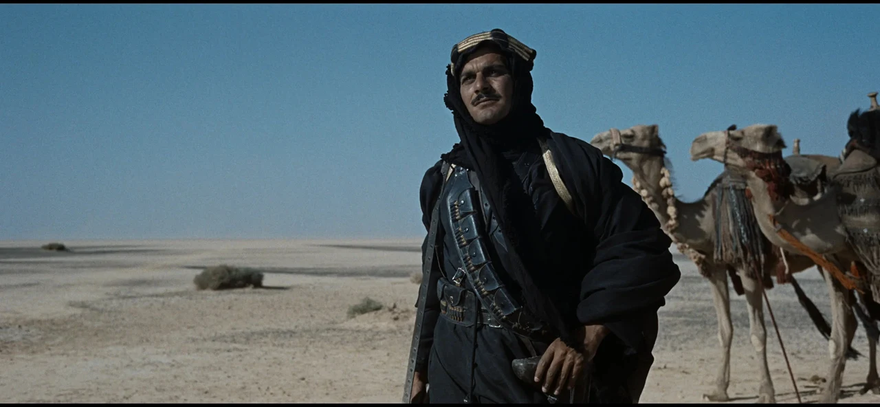 Tư liệu hình — Lawrence of Arabia — lawrence-shot-04