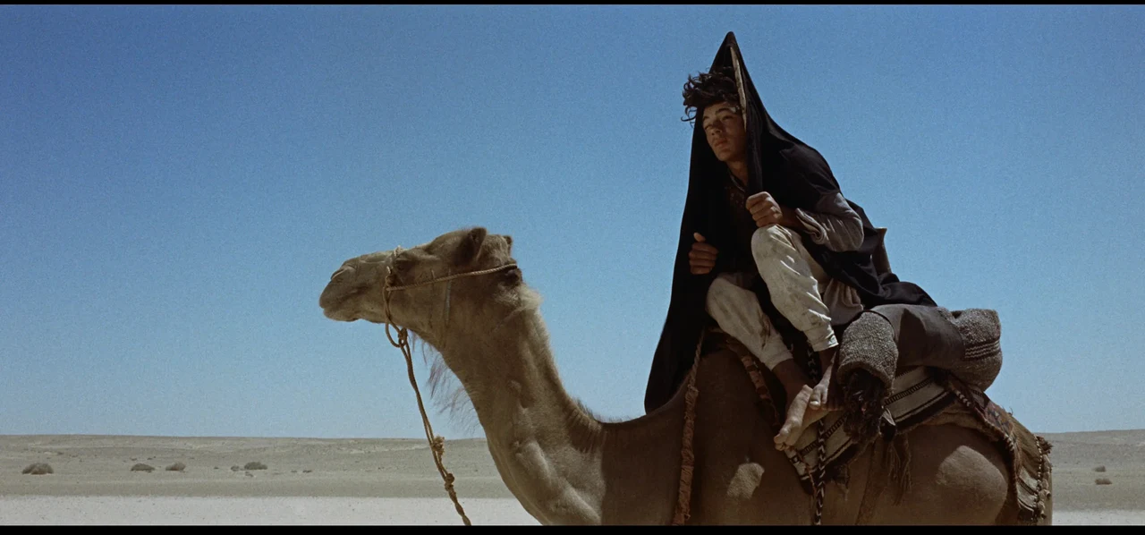 Tư liệu hình — Lawrence of Arabia — lawrence-shot-12