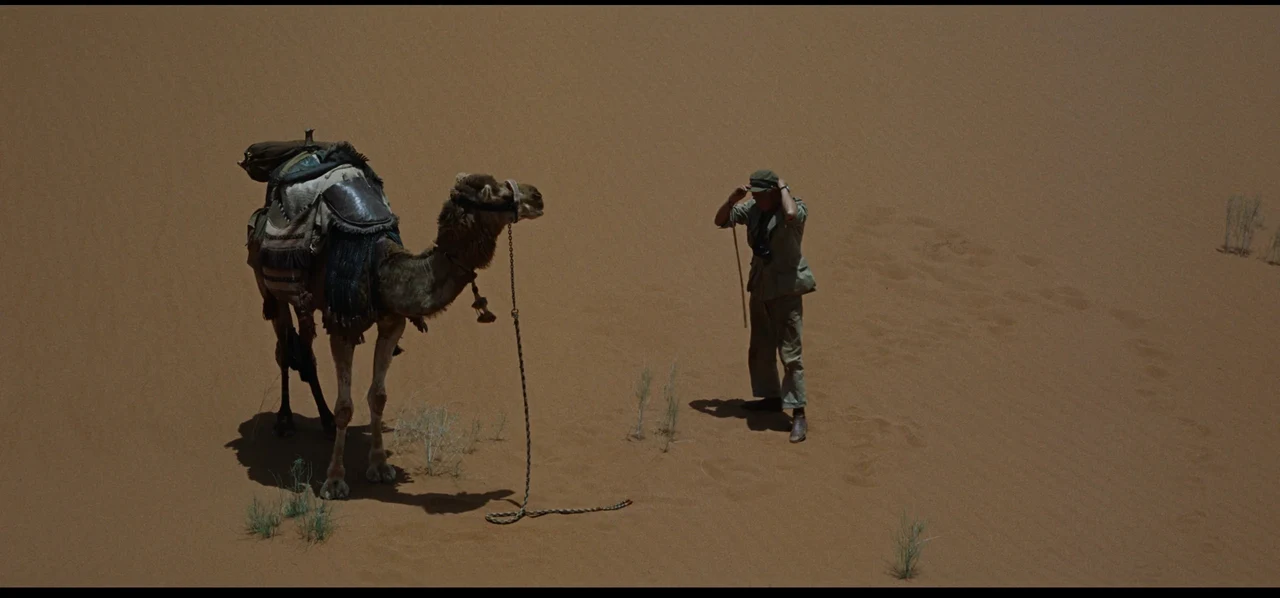 Tư liệu hình — Lawrence of Arabia — lawrence-shot-03