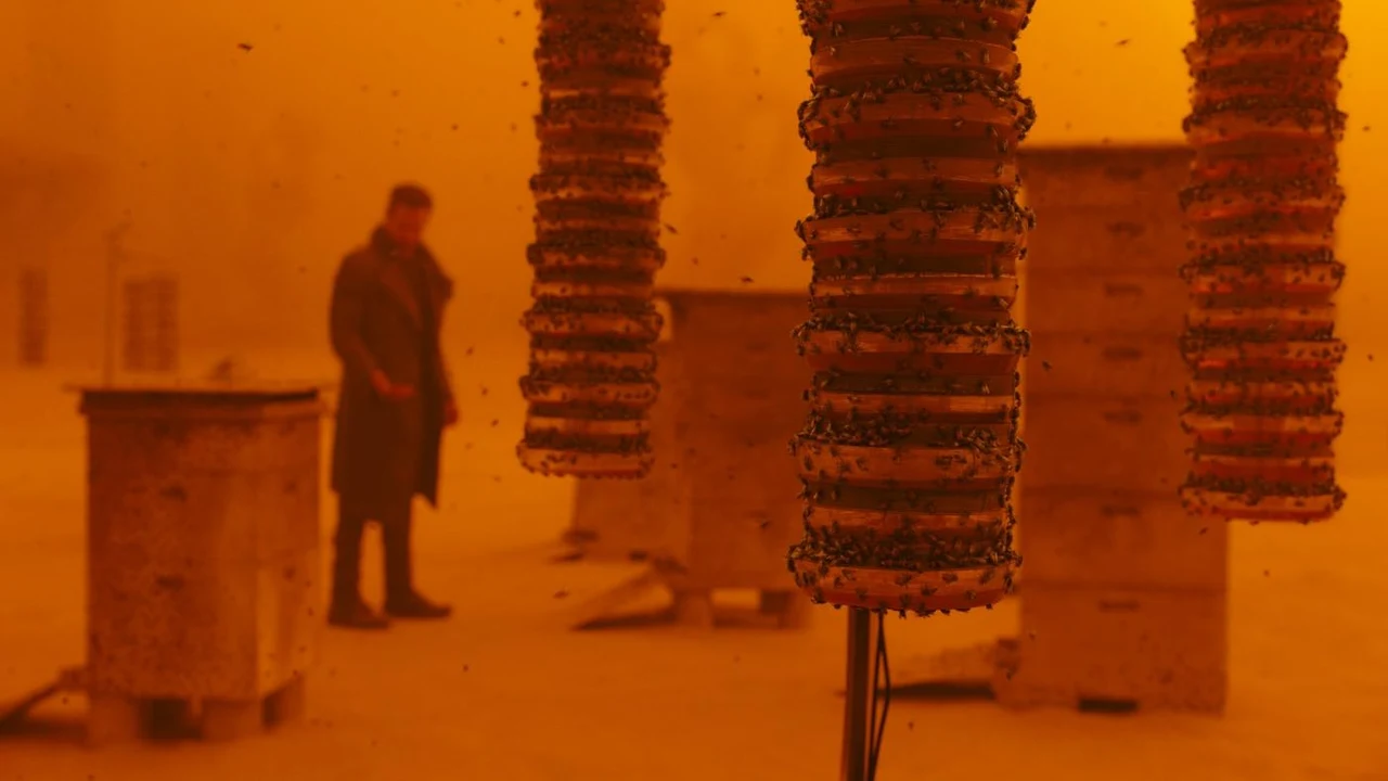 Tư liệu hình — Blade Runner 2049 — br2049-framestore-shot-04